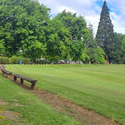 Geraldine Domain - Geraldine