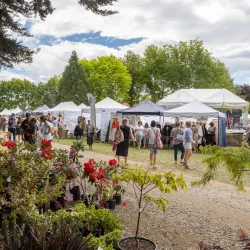 Geraldine Farmers Market - Geraldine