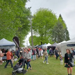 Geraldine Farmers Market - Geraldine