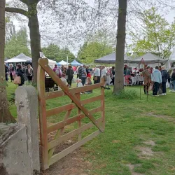 Geraldine Farmers Market - Geraldine