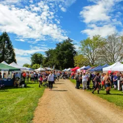 Geraldine Farmers Market - Geraldine