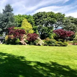 Geraldine Farmers Market - Geraldine