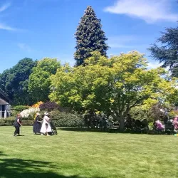 Geraldine Farmers Market - Geraldine