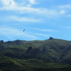 Mount Peel Conservation Area - Geraldine