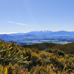 Mount Peel Conservation Area - Geraldine