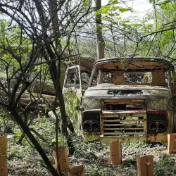 Orari River - Geraldine