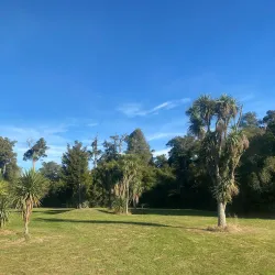Talbot Forest Scenic Reserve - Geraldine