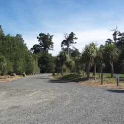 Talbot Forest Scenic Reserve - Geraldine