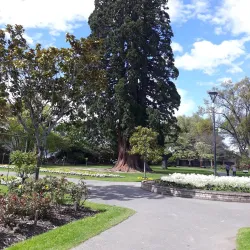 East Gore Gardens - Gore