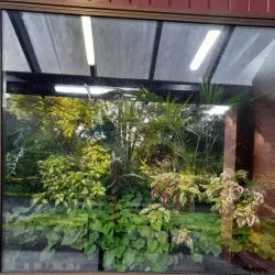 East Gore Gardens - Gore