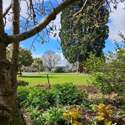 East Gore Gardens - Gore