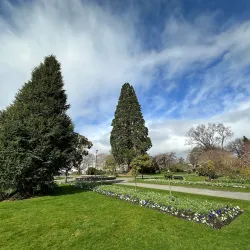 East Gore Gardens - Gore