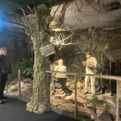 Hokonui Moonshine Museum - Gore