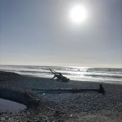 Greymouth Beach - Greymouth