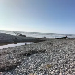Greymouth Beach - Greymouth