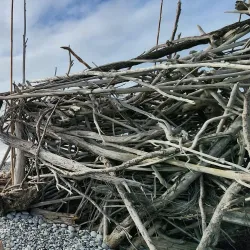 Greymouth Beach - Greymouth