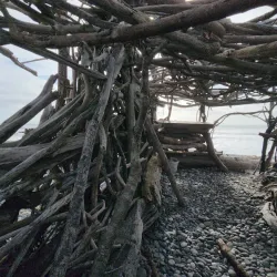 Greymouth Beach - Greymouth