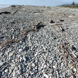 Greymouth Beach - Greymouth