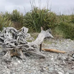 Greymouth Beach - Greymouth