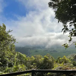 Greymouth Historic Walk - Greymouth