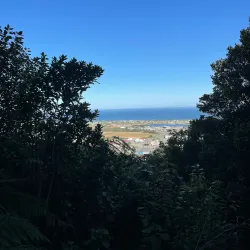 Greymouth Historic Walk - Greymouth