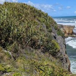 Paparoa National Park - Greymouth