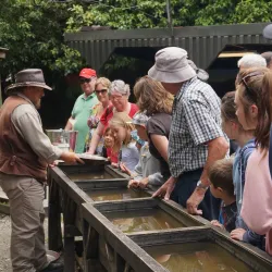 Shantytown Heritage Park - Greymouth