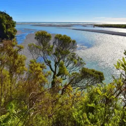 Taramakau River Walk - Greymouth