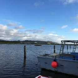 West Coast Wilderness Trail - Greymouth