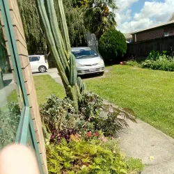 Hamilton East Village - Hamilton