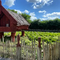 Hamilton Gardens - Hamilton