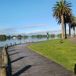 Hamilton Lake Domain (Lake Rotoroa) - Hamilton