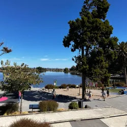 Hamilton Lake Domain (Lake Rotoroa) - Hamilton