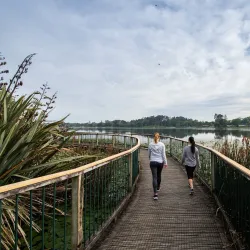Hamilton Lake Domain (Lake Rotoroa) - Hamilton