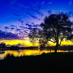 Hamilton Lake Domain (Lake Rotoroa) - Hamilton