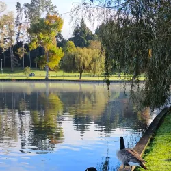 Hamilton Lake Domain (Lake Rotoroa) - Hamilton