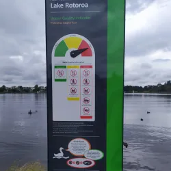 Hamilton Lake Domain (Lake Rotoroa) - Hamilton