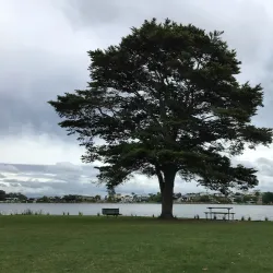 Hamilton Lake Domain (Lake Rotoroa) - Hamilton