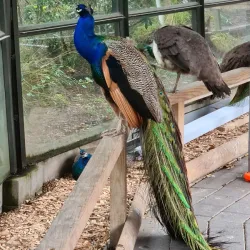 Hamilton Zoo - Hamilton