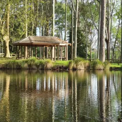 Taitua Arboretum - Hamilton