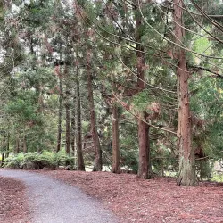 Taitua Arboretum - Hamilton