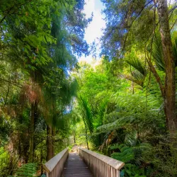 Taitua Arboretum - Hamilton