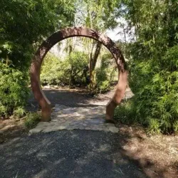 Taitua Arboretum - Hamilton