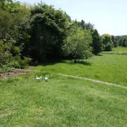 Taitua Arboretum - Hamilton