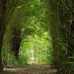 Taitua Arboretum - Hamilton