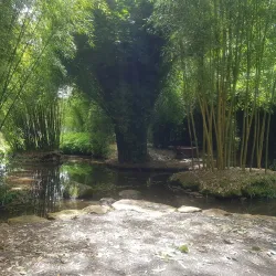 Taitua Arboretum - Hamilton