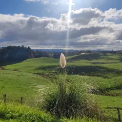 Taitua Arboretum - Hamilton