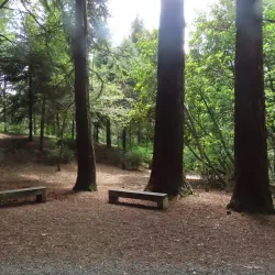 Taitua Arboretum - Hamilton