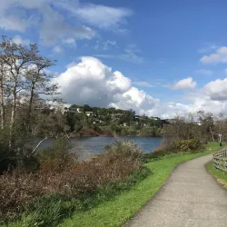 Waikato River Trails - Hamilton