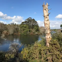 Waikato River Trails - Hamilton